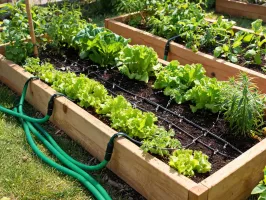 Raised bed watering route